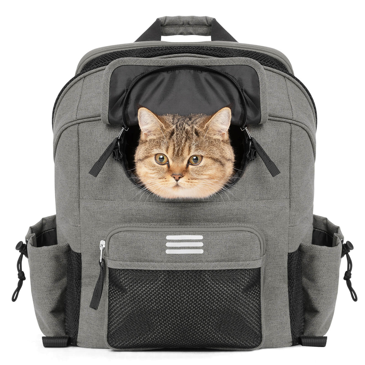 ROCKBROS Ohjaltasku lemmikkikanta Bromptonille/pyoralla 21 L