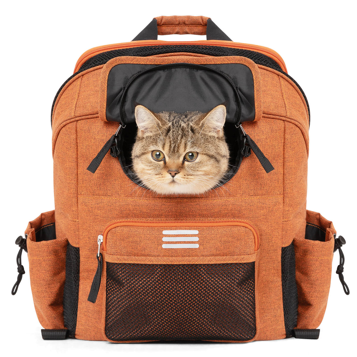 ROCKBROS Ohjaltasku lemmikkikanta Bromptonille/pyoralla 21 L